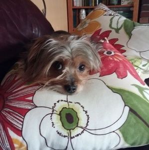 Meet your Posher, Cindy